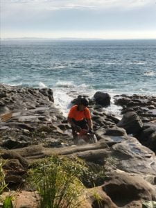 Jonnie from Wolf Trees removing Norfolk Pine in Bundeena