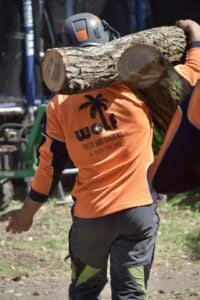Wolf Trees and Gardens Arborist carrying tree branch