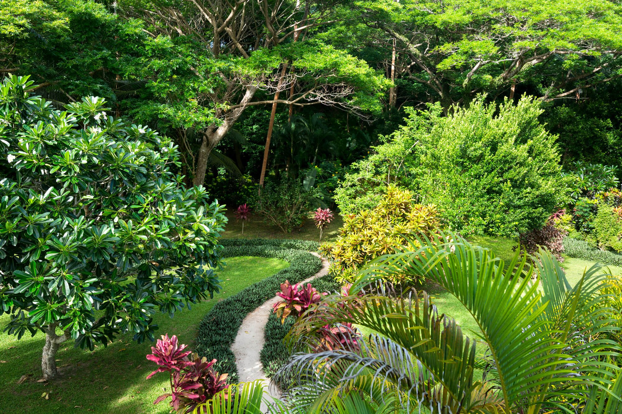 flourishing pruned garden