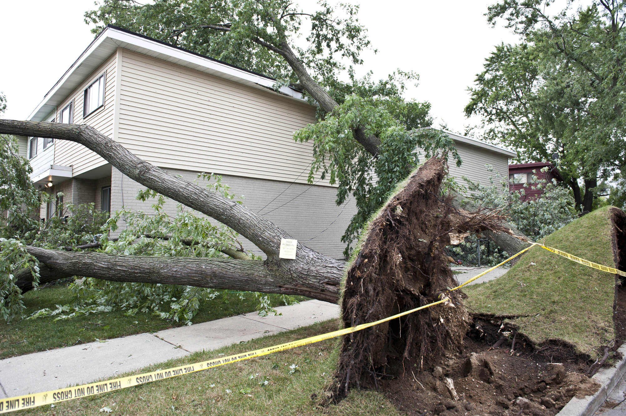 large tree fell over onto house in storm