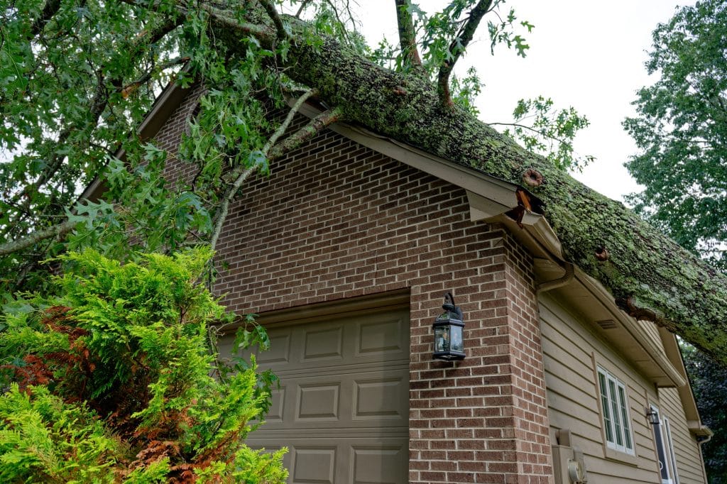 Fallen down big tree on a house after 